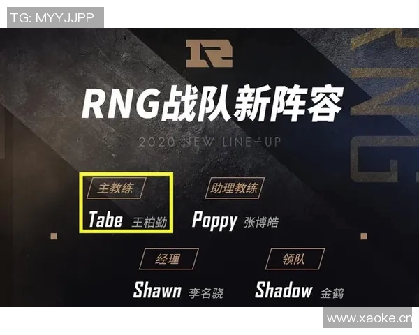 RNG战队在英雄联盟赛季中的转型与挑战分析