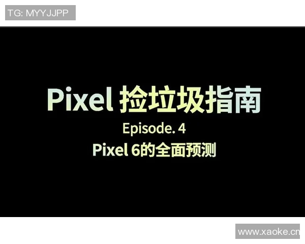 从零起步：滑板团队协作的全面指南与实战技巧分享